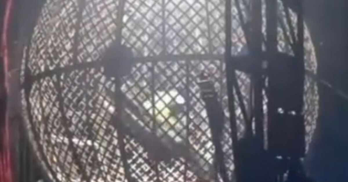 Momento da apresenta&ccedil;&atilde;o em circo no Grande Recife.