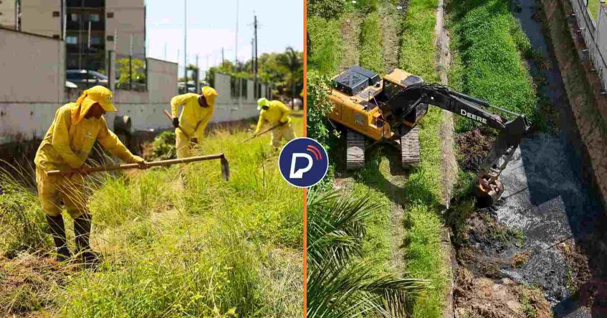 A&ccedil;&otilde;es de limpeza em Paulista.