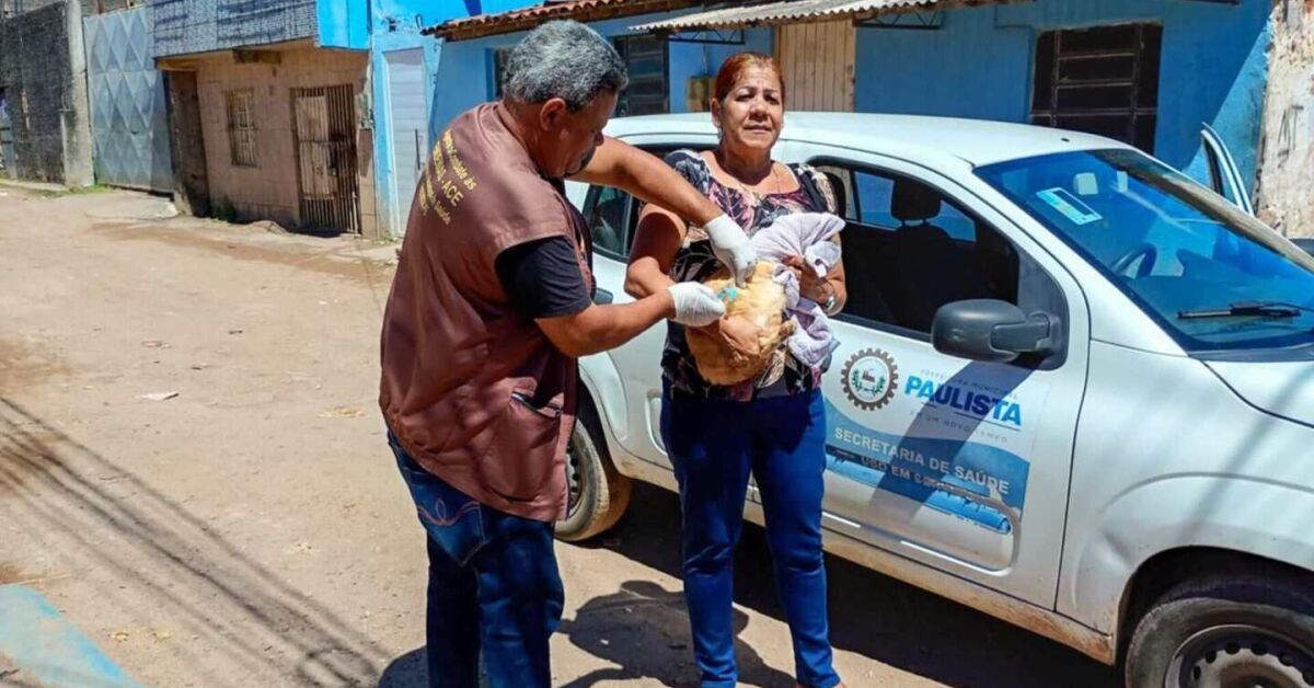 Vacina&ccedil;&atilde;o antirr&aacute;bica em Paulista.
