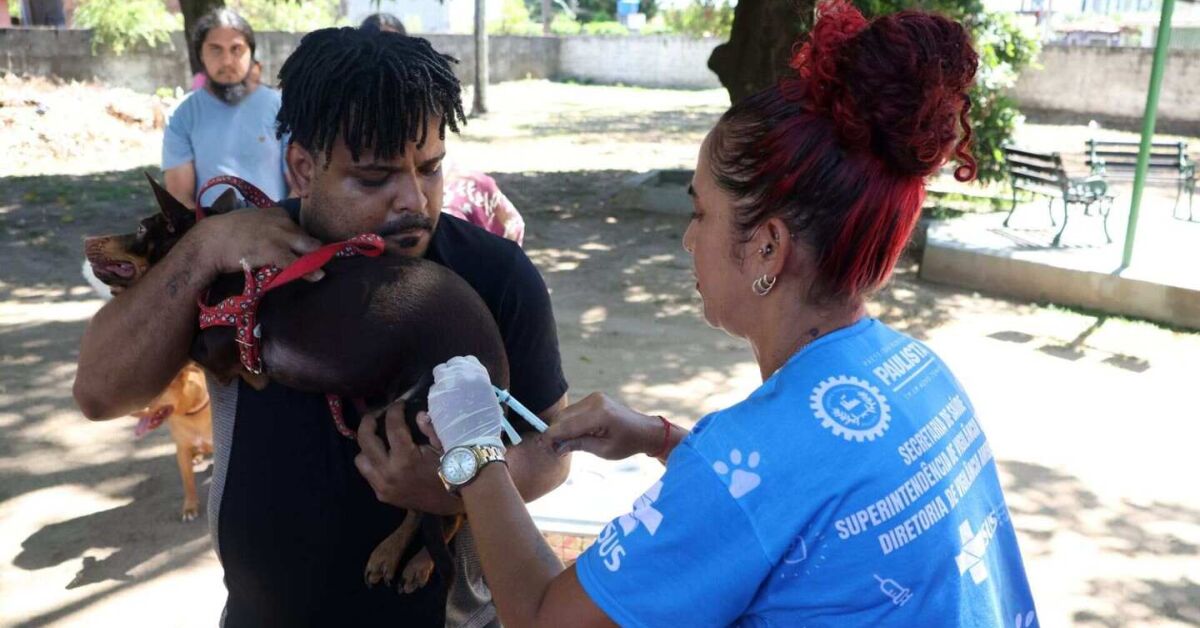Vacina&ccedil;&atilde;o de cachorro em Paulista.