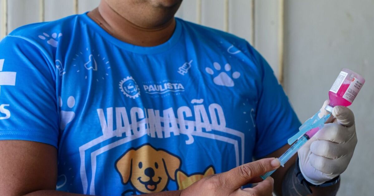 Vacinas c&atilde;es e gatos em Paulista.
