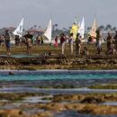 PORTO DE GALINHAS   PERNAMBUCO