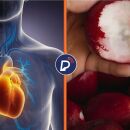 Benef&iacute;cios do jambo para a sa&uacute;de cardiovascular