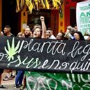 STF aprova marcha da maconha