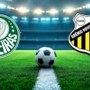 Palmeiras x Novorizontino - Final do Paulist&atilde;o 2026.