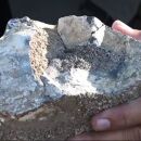 F&oacute;ssil de medula de pregui&ccedil;a-gigante &eacute; encontrado em s&iacute;tio de Caruaru.