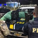 Agentes da Pol&iacute;cia Rodovi&aacute;ria Federal (PRF) em a&ccedil;&atilde;o policial contra ao tr&aacute;fico de drogas em Moreni, no Grande Recife.
