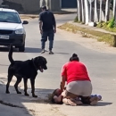 Rottweiler ataca crian&ccedil;a e av&oacute; 
