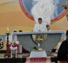 Cachorro frequenta missas em Barretos, SP &mdash;