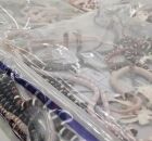 Homem &eacute; preso em aeroporto com mais de 100 cobras vivas escondidas nas cal&ccedil;as.