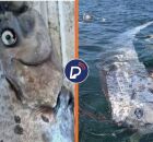 Peixe-remo &eacute; encontrado nos EUA. 