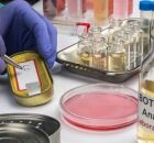 Botulismo tem aumento de casos na Bahia e duas mortes confirmadas.