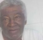 V&iacute;tima que foi atacado abelhas 