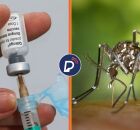Vacina da Qdenga e o mosquito da Dengue. 