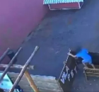 Menino no local em que matou 23 animais. 