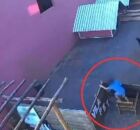 Crian&ccedil;a invadindo hospital veterin&aacute;rio.