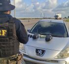 Agente da PRF apreende droga na BR-101.