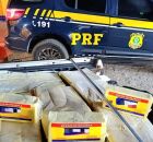 Apreens&atilde;o de latic&iacute;nios pela PRF, em Garanhuns.