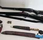 feed dividido Isabella de Foto dividida   2024 11 14T143953.090