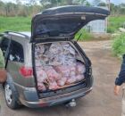 Meia tonelada de carne impr&oacute;pria para consumo &eacute; apreendia pela PRF. 