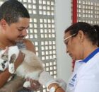 Vacina&ccedil;&atilde;o contra a raiva em Jaboat&atilde;o dos Guararapes