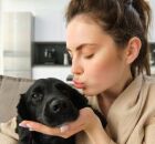 Como cuidar melhor de seus pets? dicas essenciais para garantir o bem-estar deles