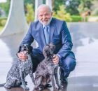 Presidente Lula com seus animais de estima&ccedil;&atilde;o