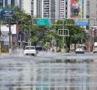 APAC divulga cidades em que MAIS CHOVEU nas &uacute;ltimas 24 horas em PERNAMBUCO; veja lista