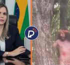 Deputada Clarissa T&eacute;rcio. 