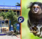 Mulher infectada com raiva humana morre.