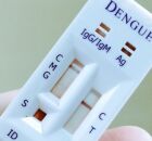 Teste r&aacute;pido para detectar dengue
