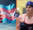 Participa&ccedil;&atilde;o de trans em esportes femininos