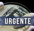 Em Pernambuco, primeiro caso de superfungo de 2025 &eacute; confirmado pela Secretaria de Sa&uacute;de