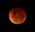 Lua de Sangue poder&aacute; ser vista de todo o Brasil na madrugada desta sexta (14)