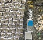 O suspeito e todo o material apreendido foram apresentados &agrave; Pol&iacute;cia Civil, para que decis&otilde;es legais possam ser tomadas.