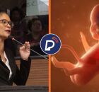 Vereadora do Recife J&ocirc; Cavalcanti (PSOL) e imagem de feto.