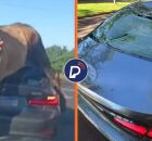 Touro enfurecido persegue homem em avenida e acaba "atropelando" BMW