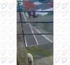 Pitbull foge e mata cachorro. 