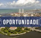Imagem da Cidade do Recife. 