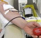 Projeto de lei prop&otilde;e triplicar folgas para trabalhadores que doarem sangue