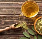 Ch&aacute; de quebra-pedra: saiba como fazer e outros benef&iacute;cios da planta que cuida dos rins.