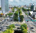 Alepe: entenda aprova&ccedil;&atilde;o de isen&ccedil;&otilde;es de IPVA para motos, aplicativos e entidades de prote&ccedil;&atilde;o animal