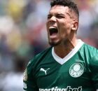 Palmeiras vence Botafogo.