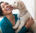 O que seu amor por cachorros pode revelar sobre voc&ecirc;? Descubra