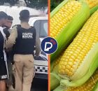 Pessoa detida e MIlho