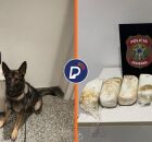 Apreens&atilde;o feita com ajuda de c&atilde;o farejador no Aeroporto do Recife.