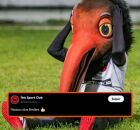 Pior time do mundo, &Iacute;bis provoca o Sport ap&oacute;s 15&ordf; derrota seguida: "Passou dos limites"