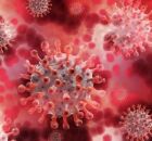 Covid, nova variante. 