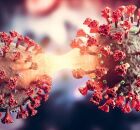 Covid e Gripe reativa c&acirc;ncer. 