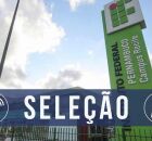 IFPE processo seletivo.